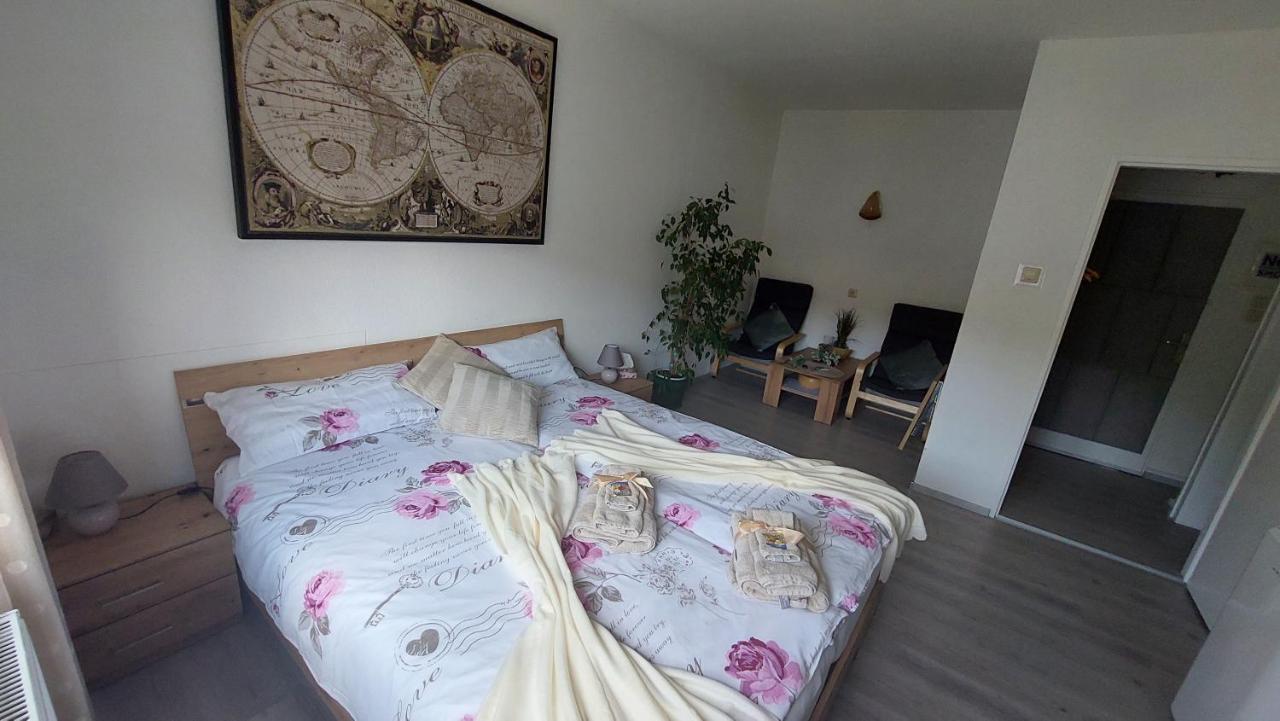 Pension Ringo, Airport Pit Stop, Bahnhof Und Flughafen In Der Naehe 巴登-巴登 外观 照片