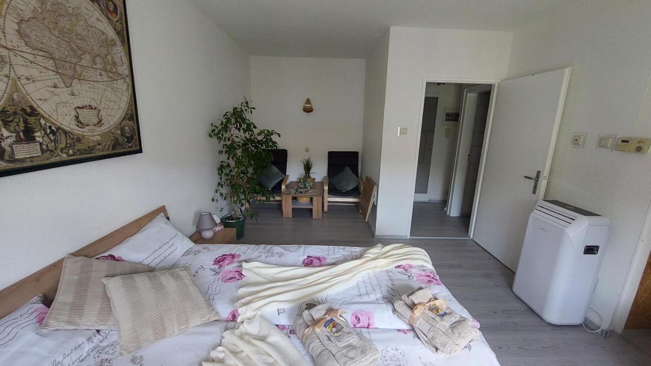 Pension Ringo, Airport Pit Stop, Bahnhof Und Flughafen In Der Naehe 巴登-巴登 外观 照片